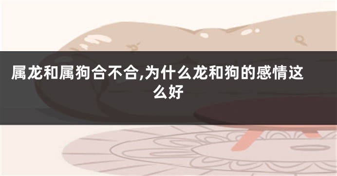 属龙和属狗合不合,为什么龙和狗的感情这么好