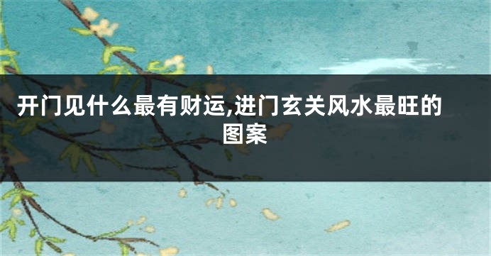 开门见什么最有财运,进门玄关风水最旺的图案