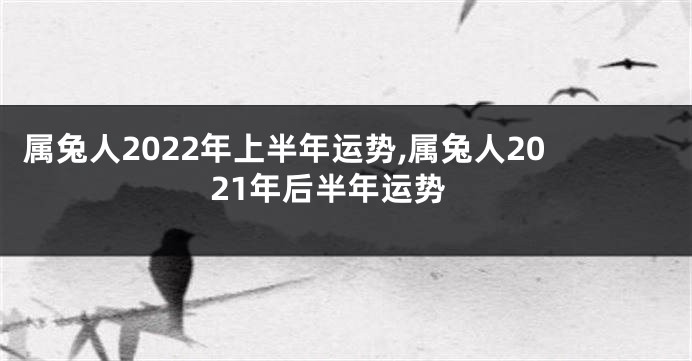属兔人2022年上半年运势,属兔人2021年后半年运势