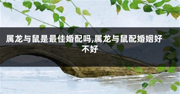 属龙与鼠是最佳婚配吗,属龙与鼠配婚姻好不好