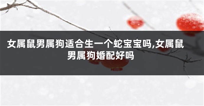 女属鼠男属狗适合生一个蛇宝宝吗,女属鼠男属狗婚配好吗