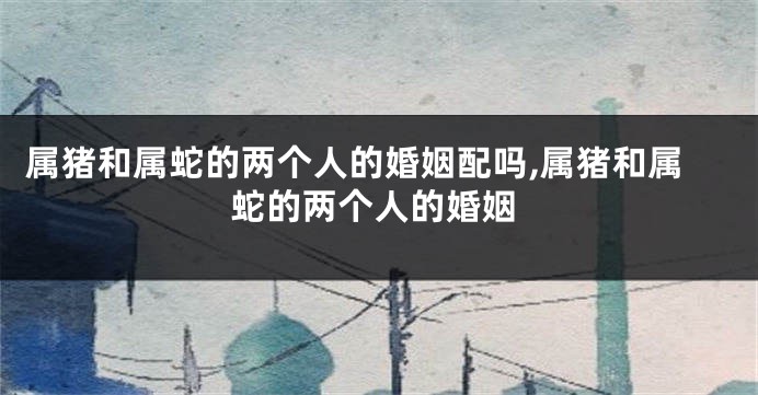 属猪和属蛇的两个人的婚姻配吗,属猪和属蛇的两个人的婚姻