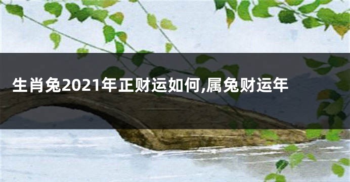 生肖兔2021年正财运如何,属兔财运年