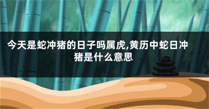 今天是蛇冲猪的日子吗属虎,黄历中蛇日冲猪是什么意思