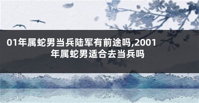 01年属蛇男当兵陆军有前途吗,2001年属蛇男适合去当兵吗