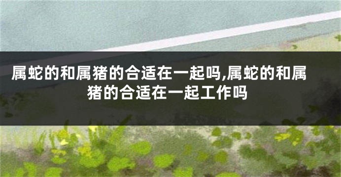 属蛇的和属猪的合适在一起吗,属蛇的和属猪的合适在一起工作吗