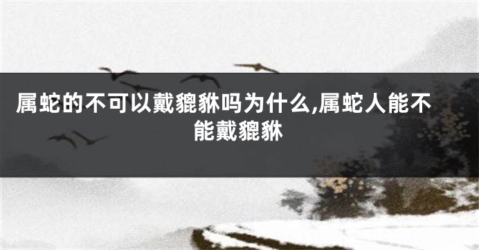 属蛇的不可以戴貔貅吗为什么,属蛇人能不能戴貔貅