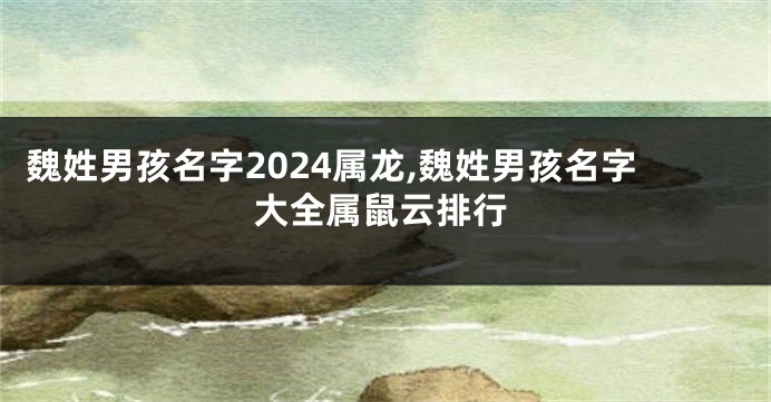 魏姓男孩名字2024属龙,魏姓男孩名字大全属鼠云排行