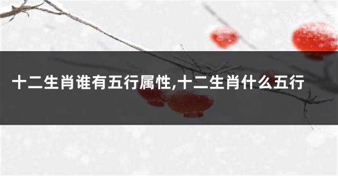 十二生肖谁有五行属性,十二生肖什么五行
