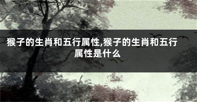 猴子的生肖和五行属性,猴子的生肖和五行属性是什么