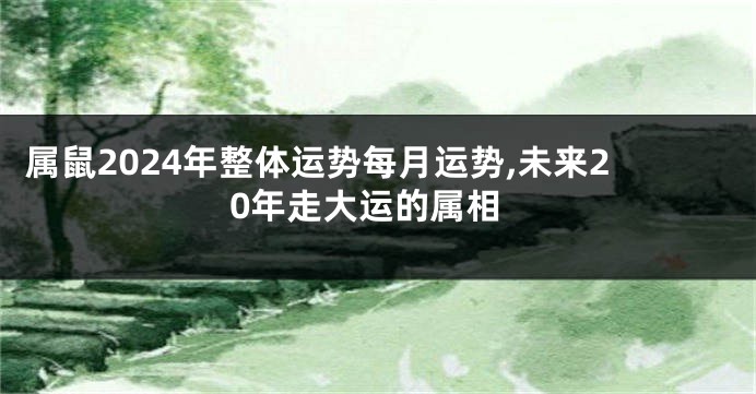 属鼠2024年整体运势每月运势,未来20年走大运的属相