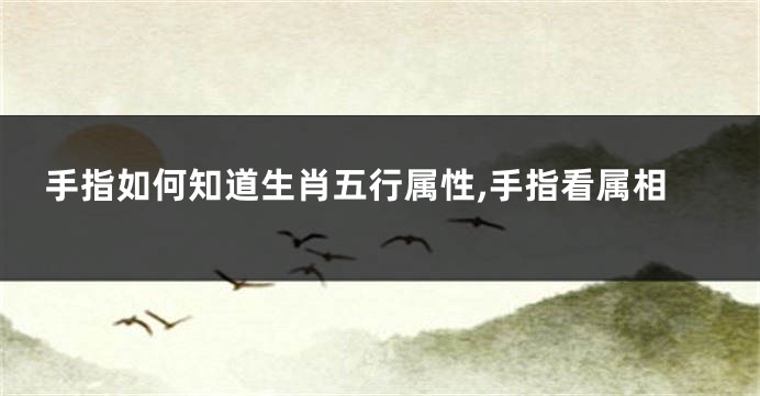 手指如何知道生肖五行属性,手指看属相
