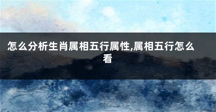 怎么分析生肖属相五行属性,属相五行怎么看