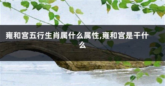 雍和宫五行生肖属什么属性,雍和宫是干什么
