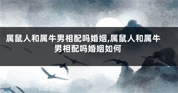 属鼠人和属牛男相配吗婚姻,属鼠人和属牛男相配吗婚姻如何
