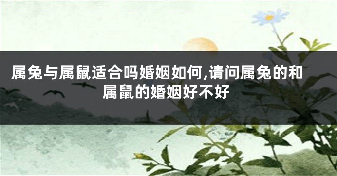 属兔与属鼠适合吗婚姻如何,请问属兔的和属鼠的婚姻好不好