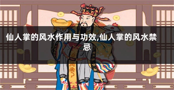 仙人掌的风水作用与功效,仙人掌的风水禁忌