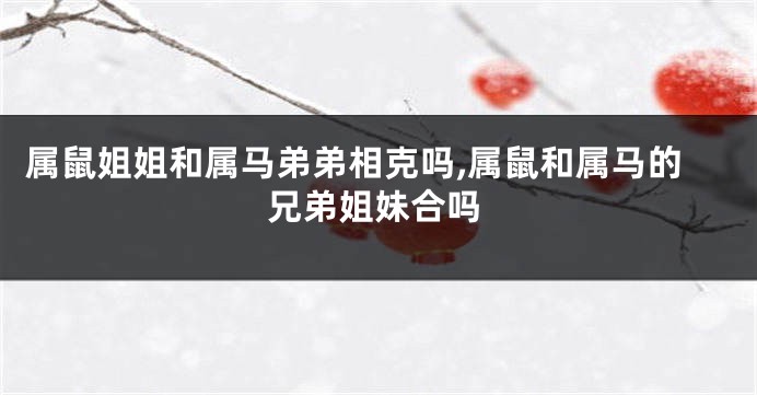属鼠姐姐和属马弟弟相克吗,属鼠和属马的兄弟姐妹合吗