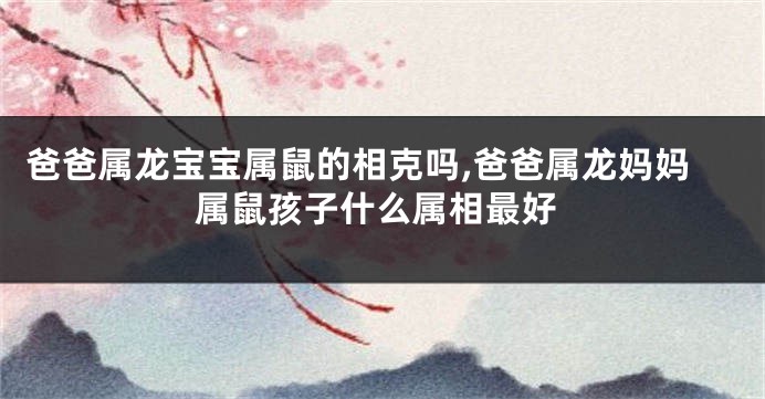 爸爸属龙宝宝属鼠的相克吗,爸爸属龙妈妈属鼠孩子什么属相最好
