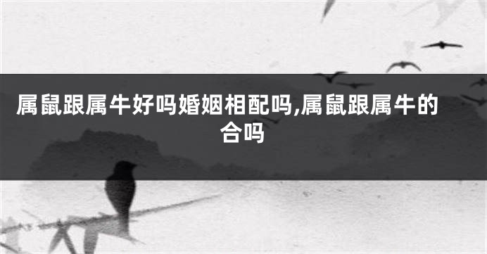属鼠跟属牛好吗婚姻相配吗,属鼠跟属牛的合吗