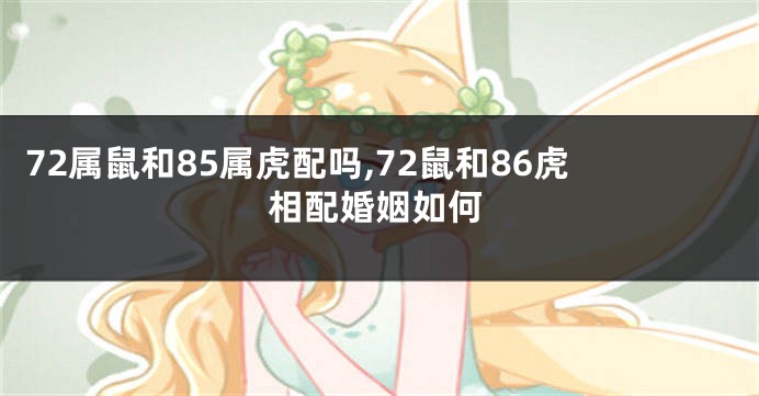 72属鼠和85属虎配吗,72鼠和86虎相配婚姻如何
