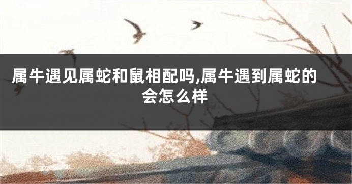 属牛遇见属蛇和鼠相配吗,属牛遇到属蛇的会怎么样
