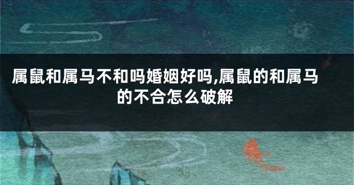 属鼠和属马不和吗婚姻好吗,属鼠的和属马的不合怎么破解