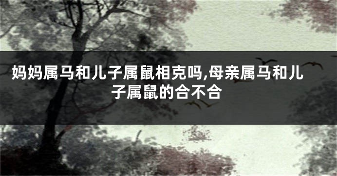妈妈属马和儿子属鼠相克吗,母亲属马和儿子属鼠的合不合