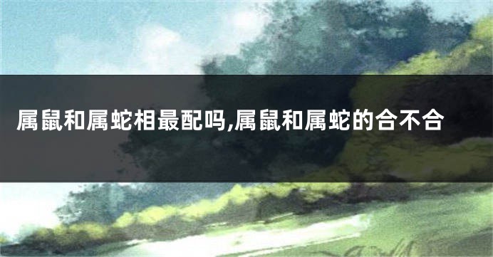 属鼠和属蛇相最配吗,属鼠和属蛇的合不合