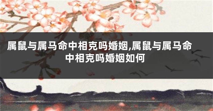 属鼠与属马命中相克吗婚姻,属鼠与属马命中相克吗婚姻如何