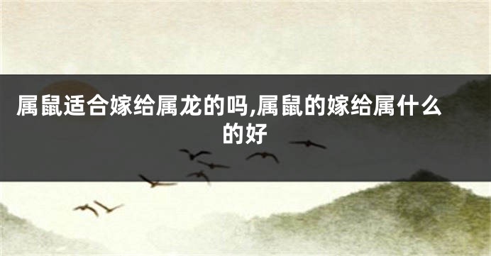 属鼠适合嫁给属龙的吗,属鼠的嫁给属什么的好