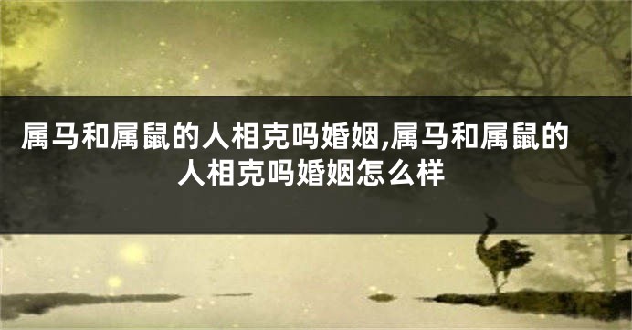 属马和属鼠的人相克吗婚姻,属马和属鼠的人相克吗婚姻怎么样