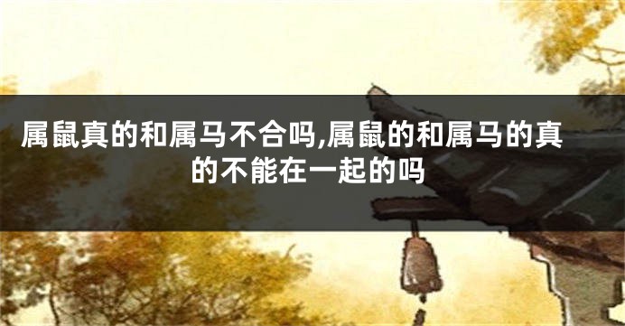 属鼠真的和属马不合吗,属鼠的和属马的真的不能在一起的吗