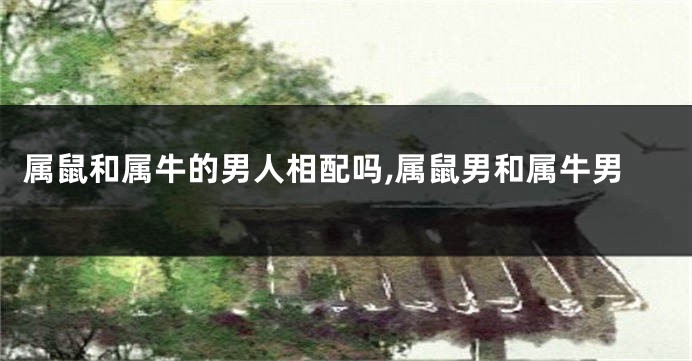 属鼠和属牛的男人相配吗,属鼠男和属牛男
