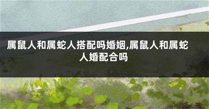 属鼠人和属蛇人搭配吗婚姻,属鼠人和属蛇人婚配合吗