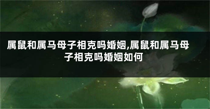 属鼠和属马母子相克吗婚姻,属鼠和属马母子相克吗婚姻如何