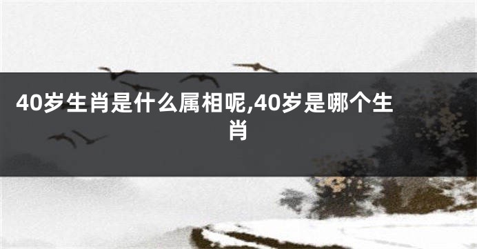 40岁生肖是什么属相呢,40岁是哪个生肖