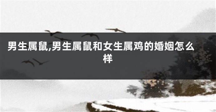 男生属鼠,男生属鼠和女生属鸡的婚姻怎么样