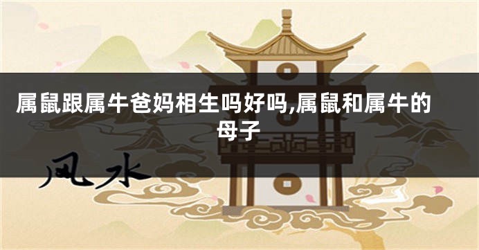 属鼠跟属牛爸妈相生吗好吗,属鼠和属牛的母子