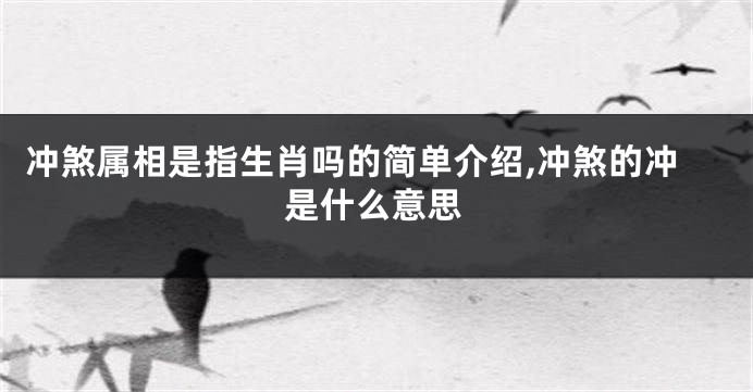 冲煞属相是指生肖吗的简单介绍,冲煞的冲是什么意思
