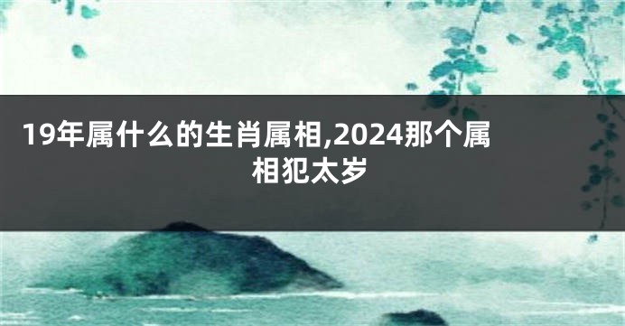 19年属什么的生肖属相,2024那个属相犯太岁