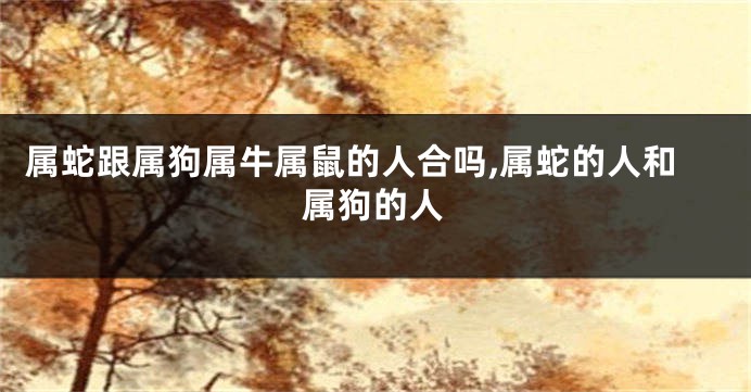 属蛇跟属狗属牛属鼠的人合吗,属蛇的人和属狗的人