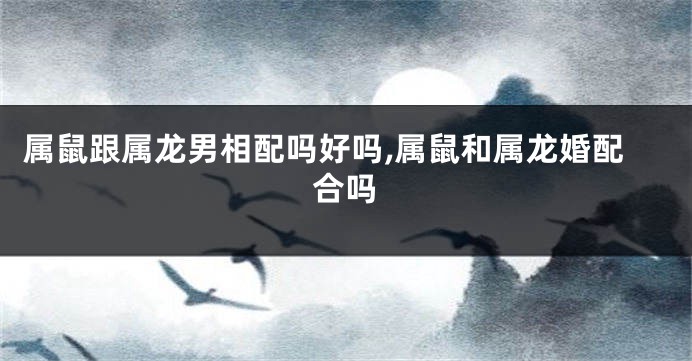属鼠跟属龙男相配吗好吗,属鼠和属龙婚配合吗