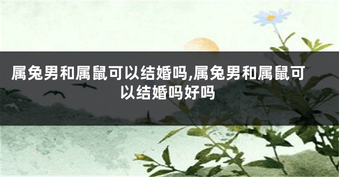属兔男和属鼠可以结婚吗,属兔男和属鼠可以结婚吗好吗
