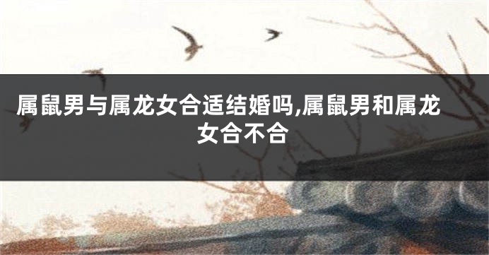 属鼠男与属龙女合适结婚吗,属鼠男和属龙女合不合