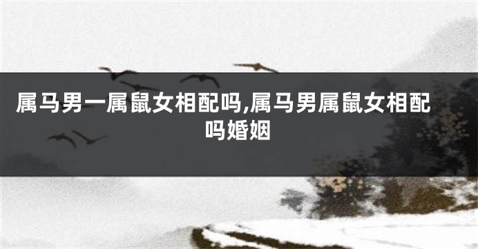 属马男一属鼠女相配吗,属马男属鼠女相配吗婚姻