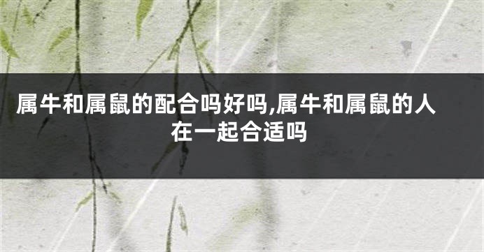 属牛和属鼠的配合吗好吗,属牛和属鼠的人在一起合适吗