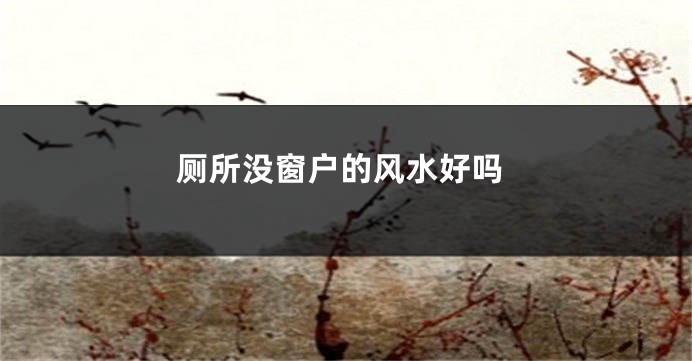 厕所没窗户的风水好吗