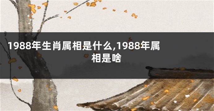 1988年生肖属相是什么,1988年属相是啥