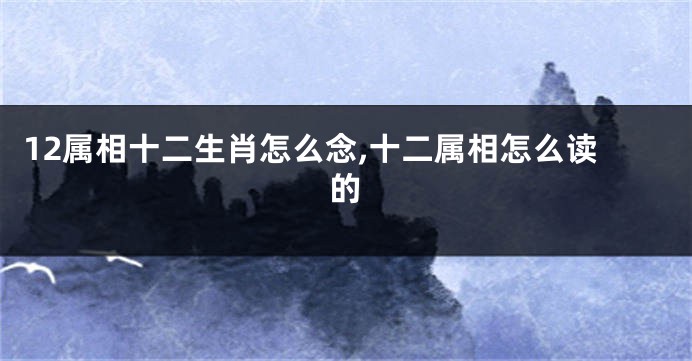 12属相十二生肖怎么念,十二属相怎么读的